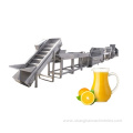 Fruits Vegetables Processing Machines